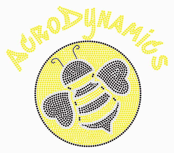 Acrodynamics Rhinestone Jacket